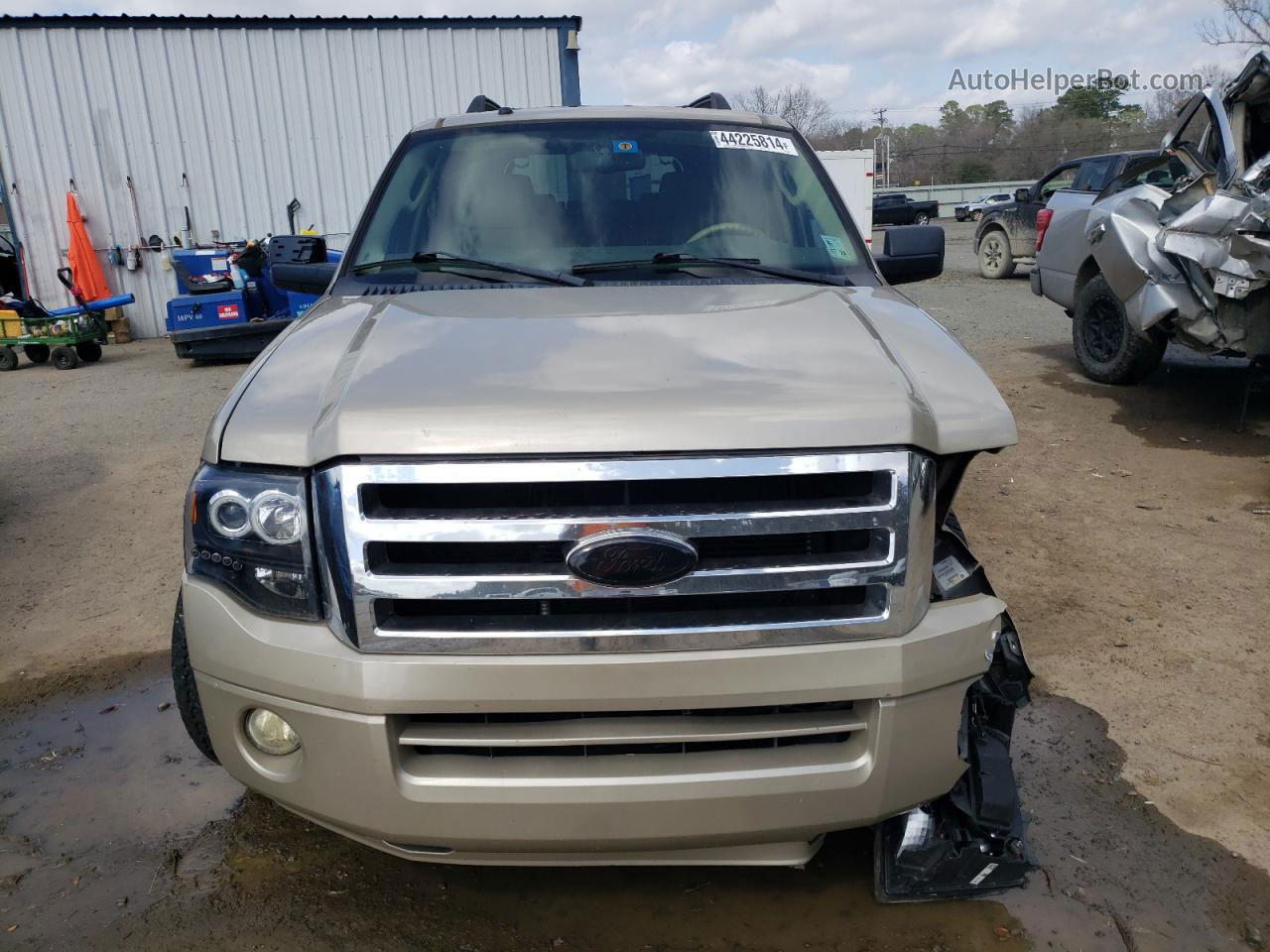 2008 Ford Expedition Xlt Cream vin: 1FMFU15588LA32290