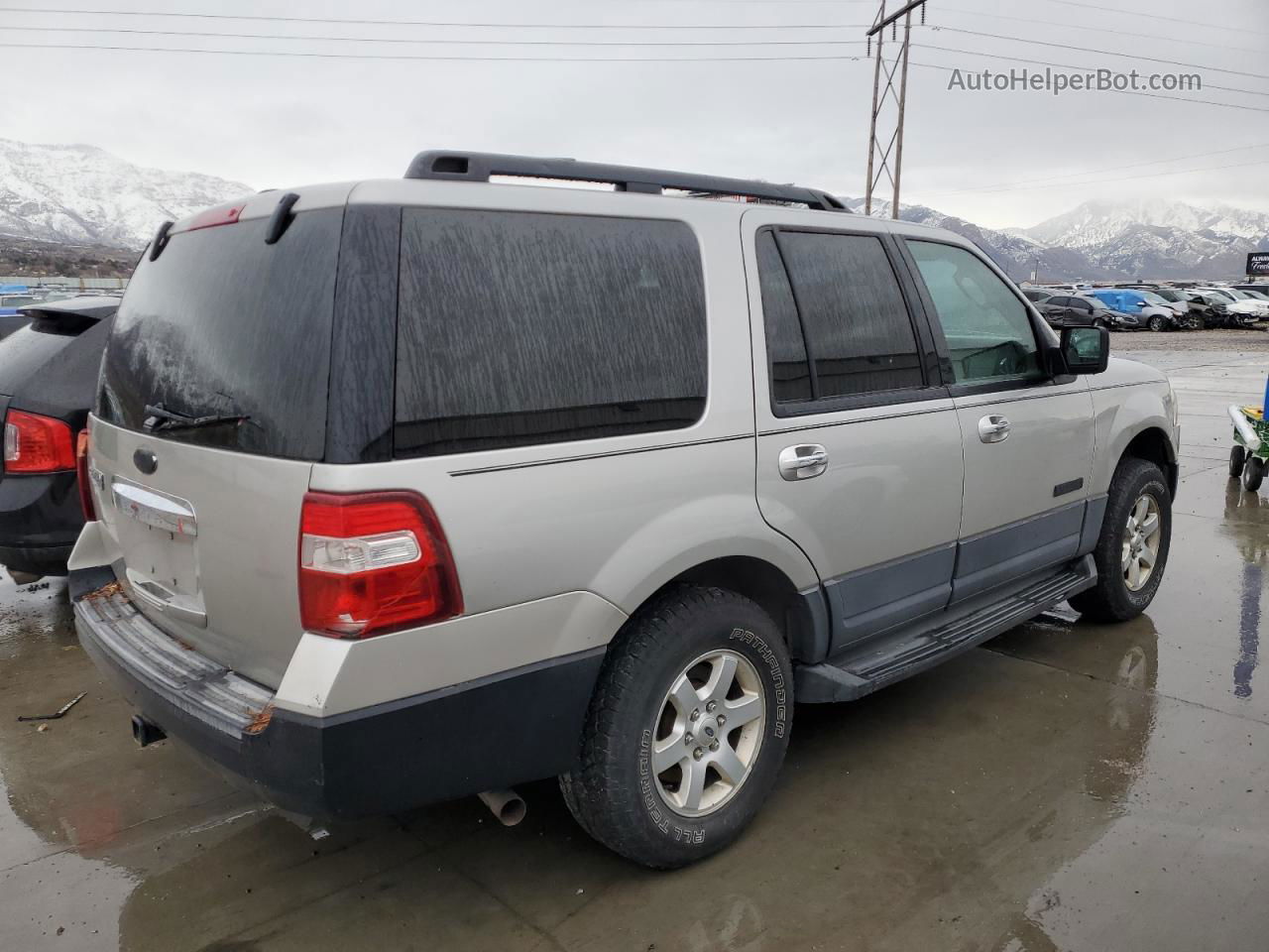 2007 Ford Expedition Xlt Silver vin: 1FMFU16527LA35456