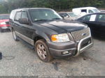 2003 Ford Expedition Special Service Серый vin: 1FMFU16L33LB08603