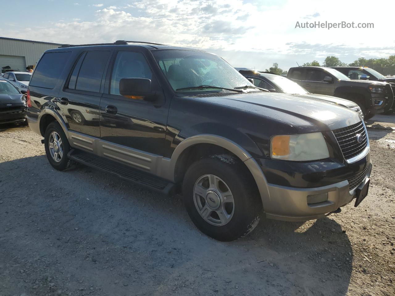 2003 Ford Expedition Eddie Bauer Two Tone vin: 1FMFU18L23LA39609