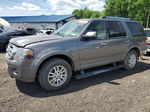 2012 Ford Expedition Limited Silver vin: 1FMJU2A52CEF52469