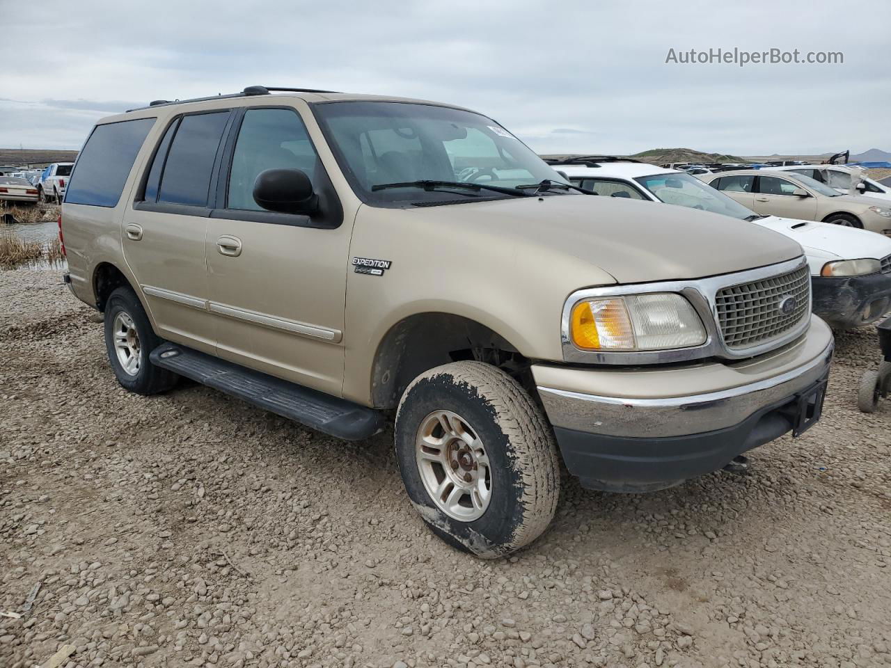 2000 Ford Expedition Xlt Gold vin: 1FMPU16L4YLB72578