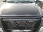 2000 Ford Expedition Xlt Black vin: 1FMRU1564YLC06488