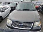 2003 Ford Expedition Xlt Gray vin: 1FMRU15W83LC12545