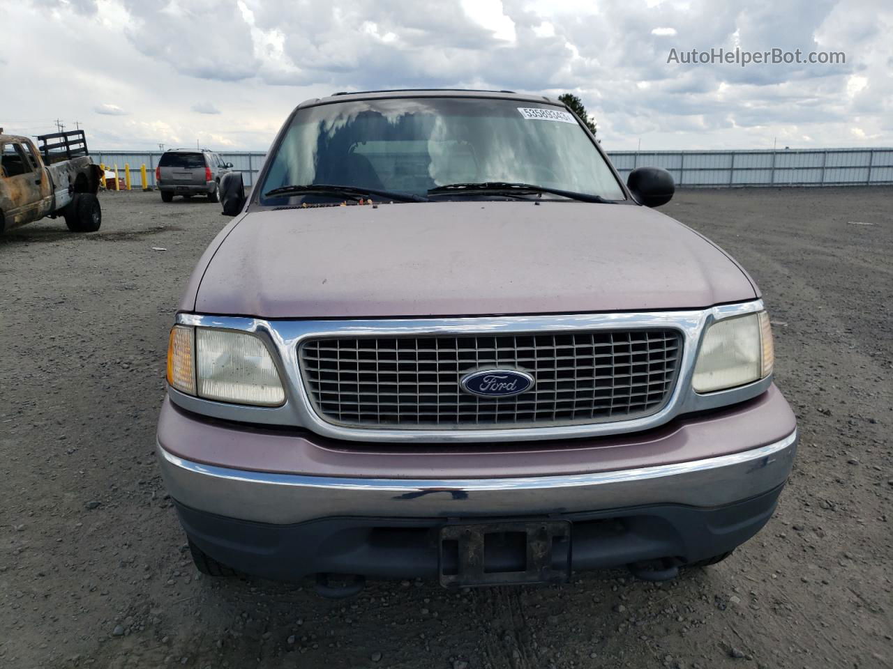 2000 Ford Expedition Xlt Pink vin: 1FMRU1665YLC05025