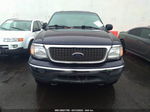 2001 Ford Expedition Xlt Blue vin: 1FMRU16WX1LB16914