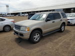 2005 Ford Explorer Xlt Желто-коричневый vin: 1FMZU73E55UA81813