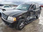 2005 Ford Explorer Xlt Brown vin: 1FMZU73K95ZA31053