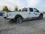 2016 Ford F350 Super Duty White vin: 1FT7W3BT8GED33744