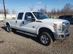 2014 Ford F350 Super Duty White vin: 1FT8W3BT5EEA09099