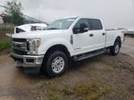 2019 Ford F350 Super Duty White vin: 1FT8W3BT8KEF65466