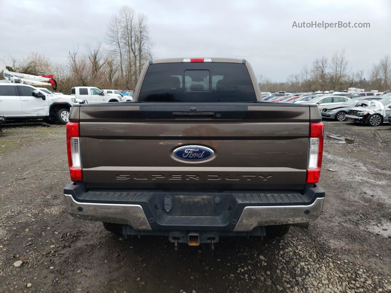 2017 Ford F350 Super Duty Brown vin: 1FT8W3BT9HEE39061