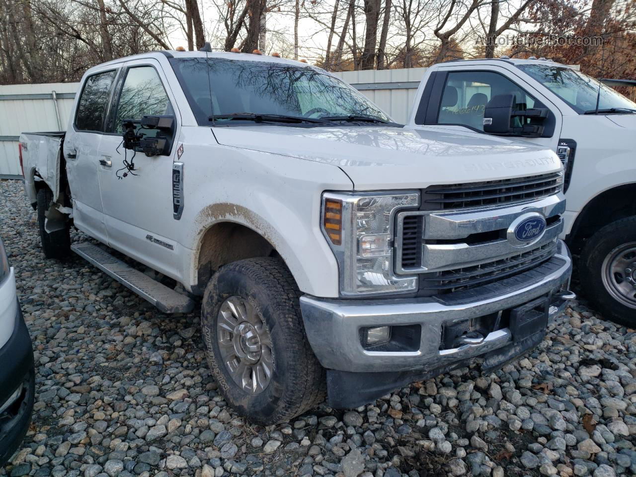 2019 Ford F350 Super Duty White vin: 1FT8W3BT9KEF31066