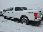 2020 Ford F350 Super Duty White vin: 1FT8W3BTXLEE18857