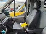 2020 Ford Transit T-250 vin: 1FTBR1C84LKA03255