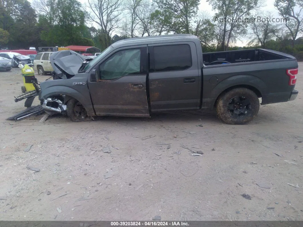 2019 Ford F-150 Xlt Gray vin: 1FTEW1C42KFC76592