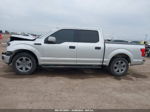 2019 Ford F-150 Xlt White vin: 1FTEW1C48KKC52725