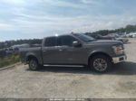 2019 Ford F-150 Xl/xlt/lariat Gray vin: 1FTEW1C48KKE30083