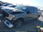 2019 Ford F-150 Xlt Gray vin: 1FTEW1C49KKC11004