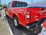 2019 Ford F-150 Xl vin: 1FTEW1C49KKD31143