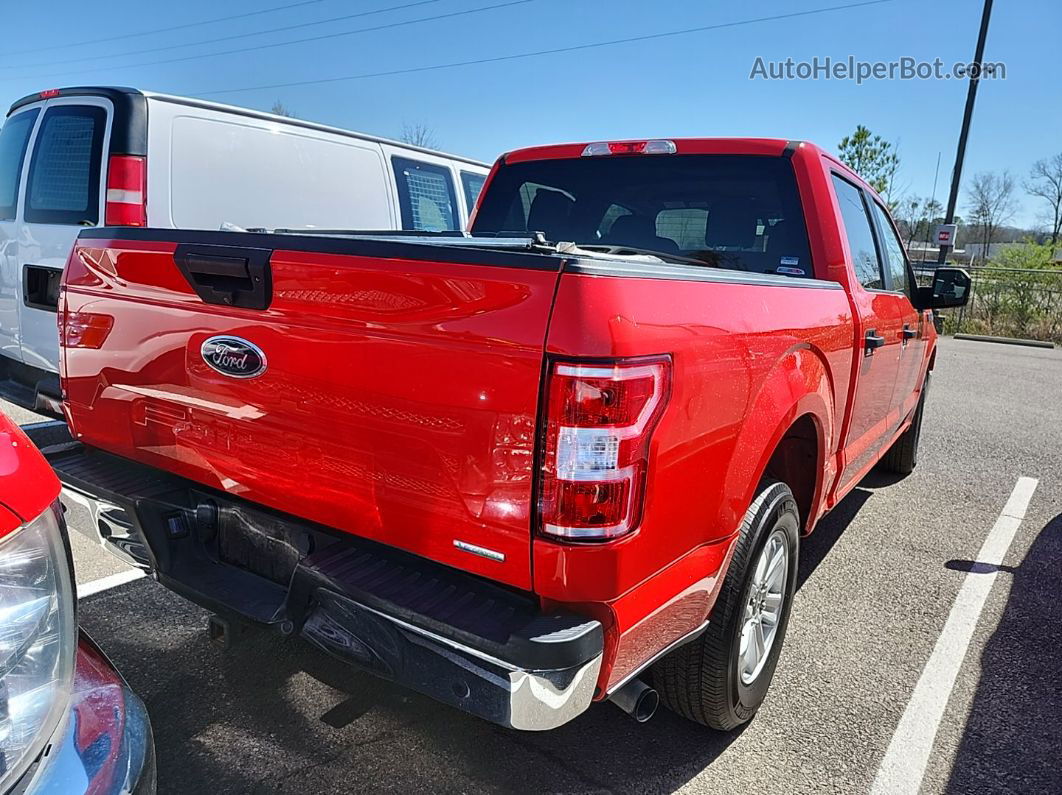 2019 Ford F-150 Xl vin: 1FTEW1C49KKD31143