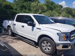 2018 Ford F-150 Xlt White vin: 1FTEW1C52JKD46655