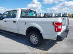 2019 Ford F-150 Xl White vin: 1FTEW1C52KFD10233