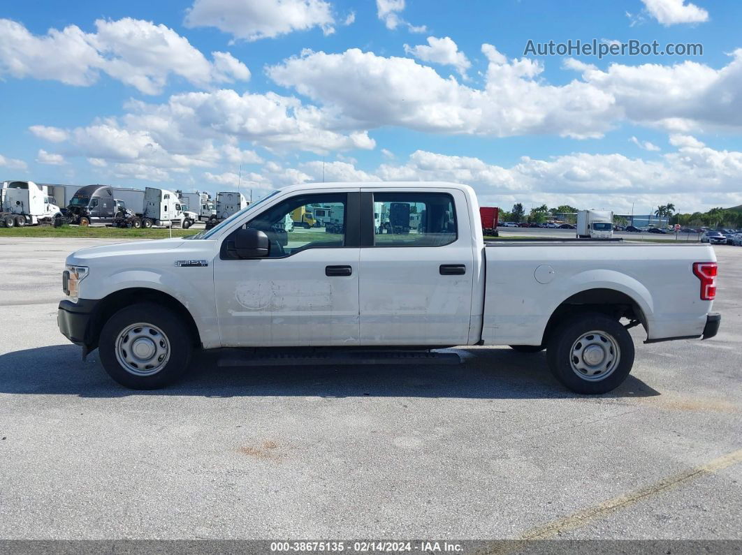 2019 Ford F-150 Xl White vin: 1FTEW1C52KFD10233