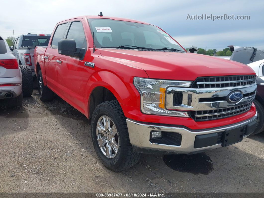 2019 Ford F-150 Xlt Red vin: 1FTEW1C54KFB01141