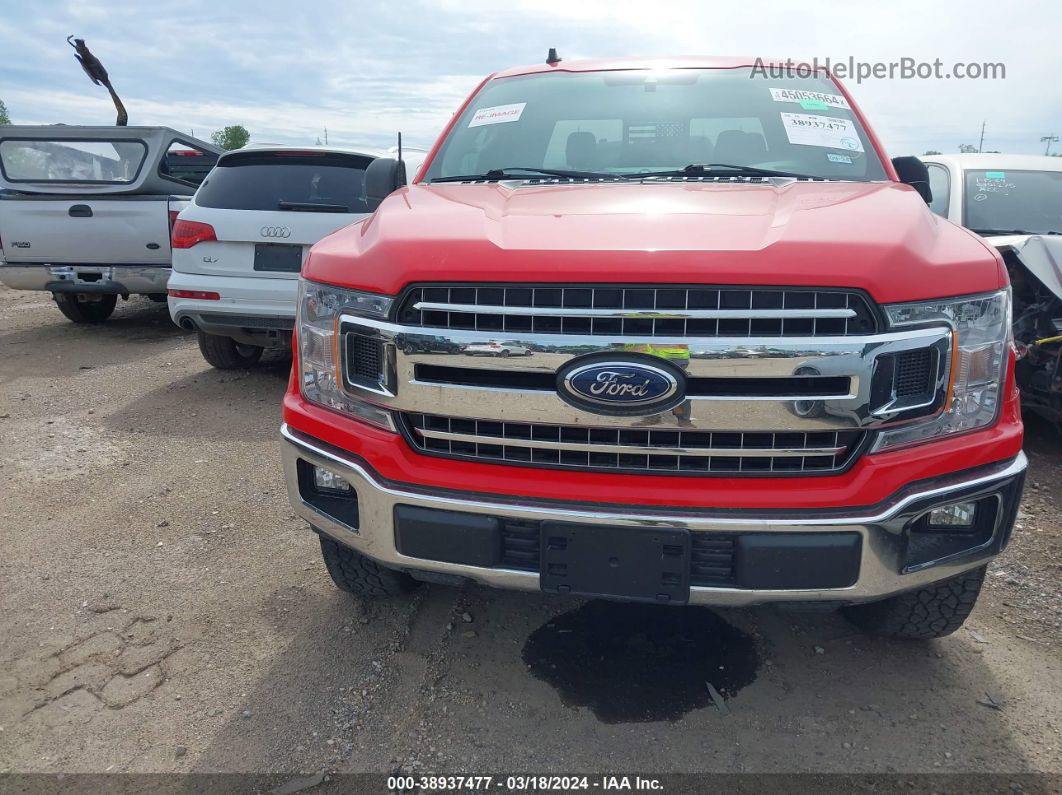 2019 Ford F-150 Xlt Red vin: 1FTEW1C54KFB01141