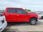 2019 Ford F-150 Xlt Red vin: 1FTEW1C54KFB01141