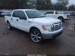 2010 Ford F-150 Xl/xlt White vin: 1FTEW1C80AFB20603