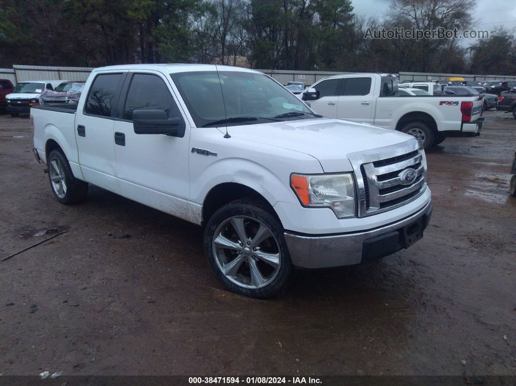 2010 Ford F-150 Xl/xlt White vin: 1FTEW1C80AFB20603