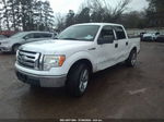 2010 Ford F-150 Xl/xlt White vin: 1FTEW1C80AFB20603