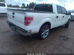 2010 Ford F-150 Xl/xlt White vin: 1FTEW1C80AFB20603