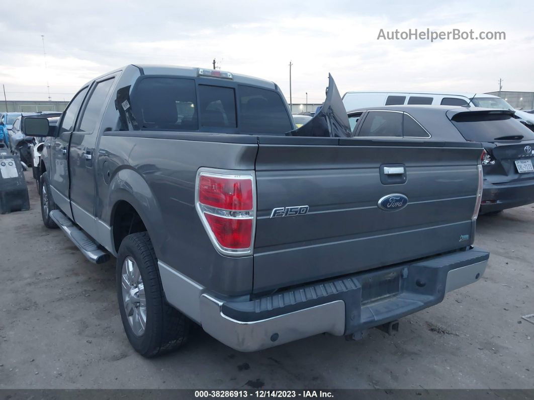 2010 Ford F-150 Xl/xlt Gray vin: 1FTEW1C80AFC50901