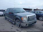 2010 Ford F-150 Xl/xlt Gray vin: 1FTEW1C80AFC50901