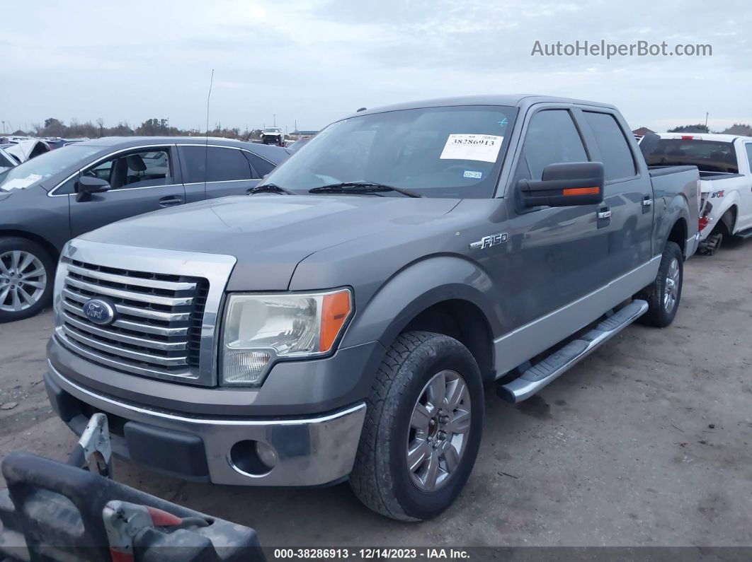 2010 Ford F-150 Xl/xlt Gray vin: 1FTEW1C80AFC50901