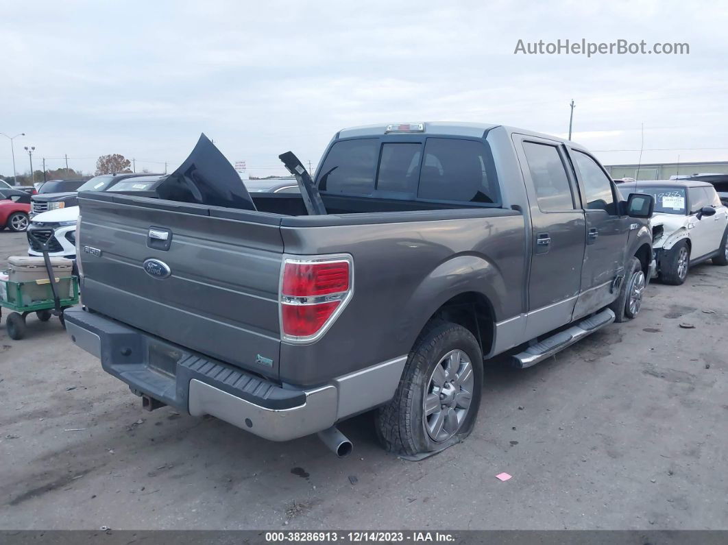 2010 Ford F-150 Xl/xlt Gray vin: 1FTEW1C80AFC50901
