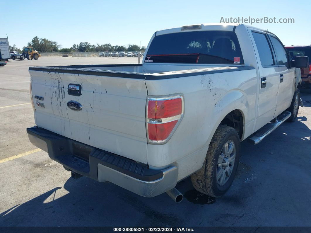 2010 Ford F-150   White vin: 1FTEW1C80AFD25211