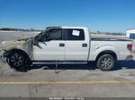 2010 Ford F-150   Белый vin: 1FTEW1C80AFD25211