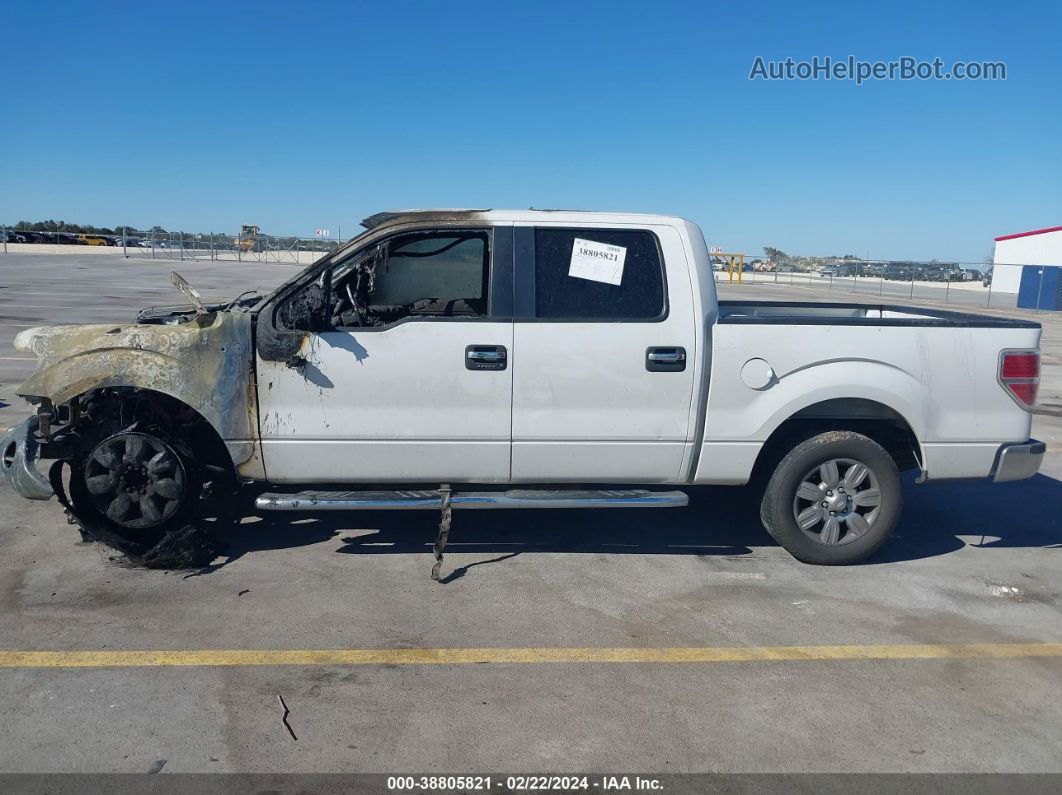 2010 Ford F-150   White vin: 1FTEW1C80AFD25211