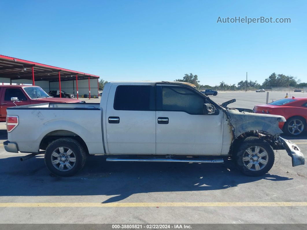 2010 Ford F-150   Белый vin: 1FTEW1C80AFD25211