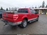 2010 Ford F-150 Xlt Красный vin: 1FTEW1C80AFD71332