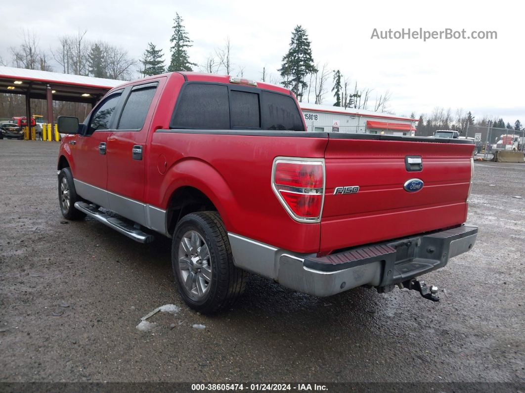 2010 Ford F-150 Xlt Красный vin: 1FTEW1C80AFD71332