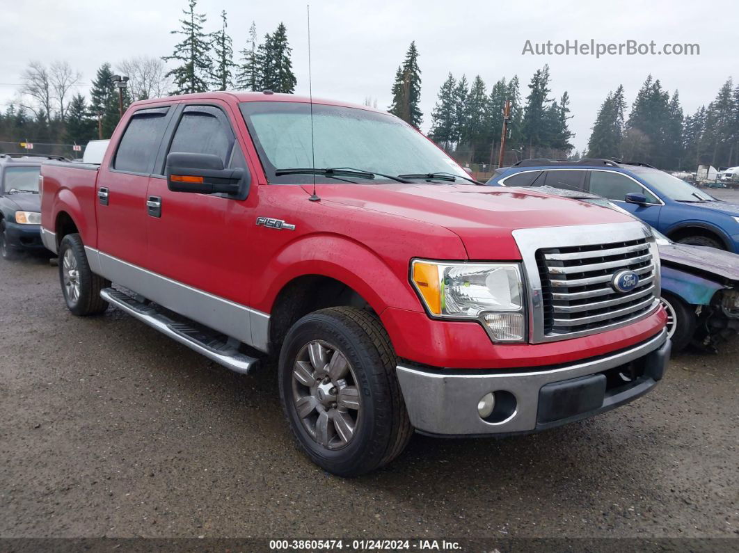 2010 Ford F-150 Xlt Красный vin: 1FTEW1C80AFD71332