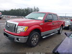 2010 Ford F-150 Xlt Красный vin: 1FTEW1C80AFD71332