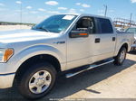 2010 Ford F-150 Xl/xlt/fx2 Sport Silver vin: 1FTEW1C80AFD78796