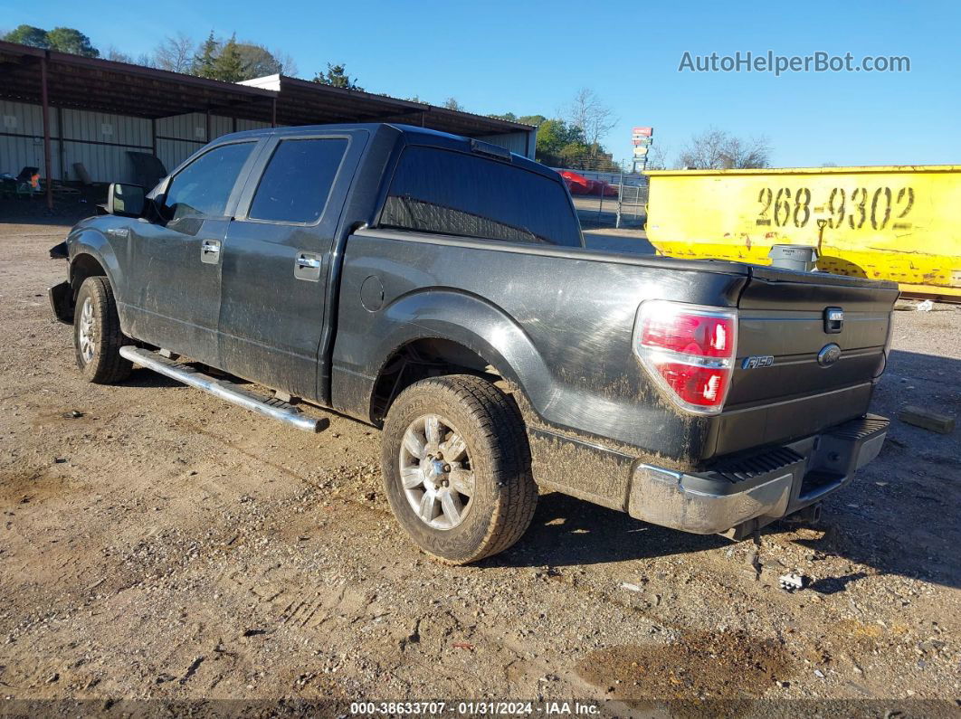 2010 Ford F-150 Xl/xlt Black vin: 1FTEW1C82AFC55985