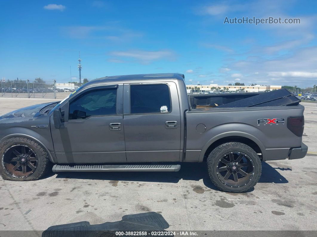 2010 Ford F-150   Серый vin: 1FTEW1C82AKB85573